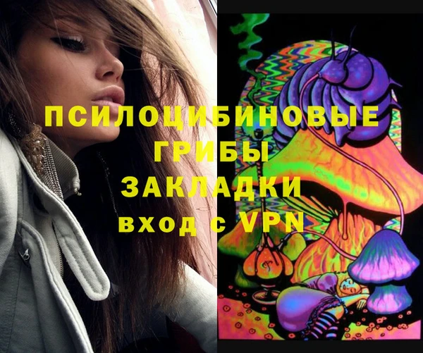 дживик Нефтекумск