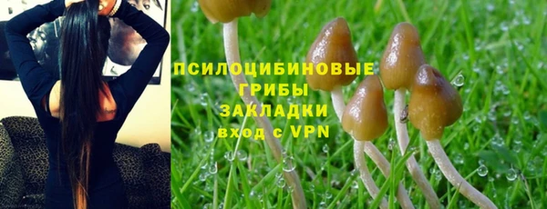 кристаллы Нея