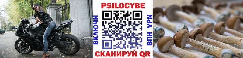 Псилоцибиновые грибы Psilocybe  купить наркотики цена  Поронайск 